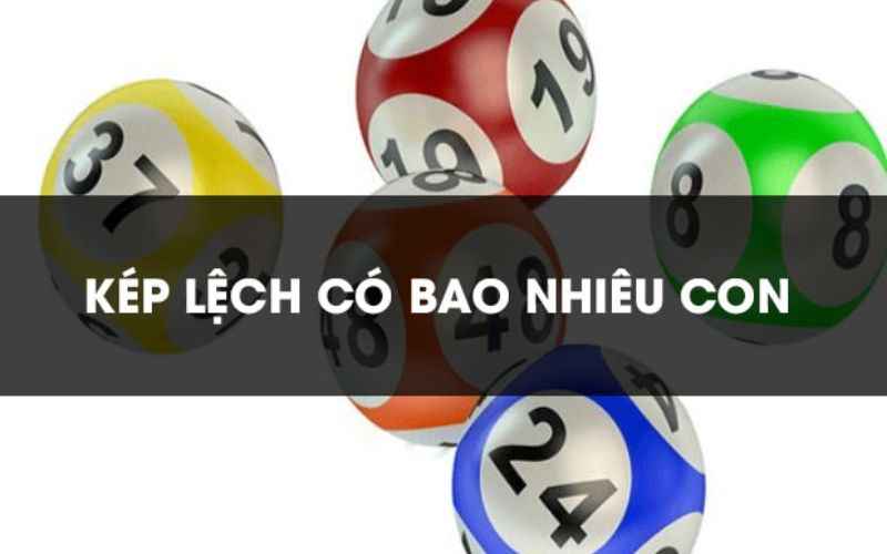 Độ lệch kép là gì? Bộ bù kép bao gồm những số nào?