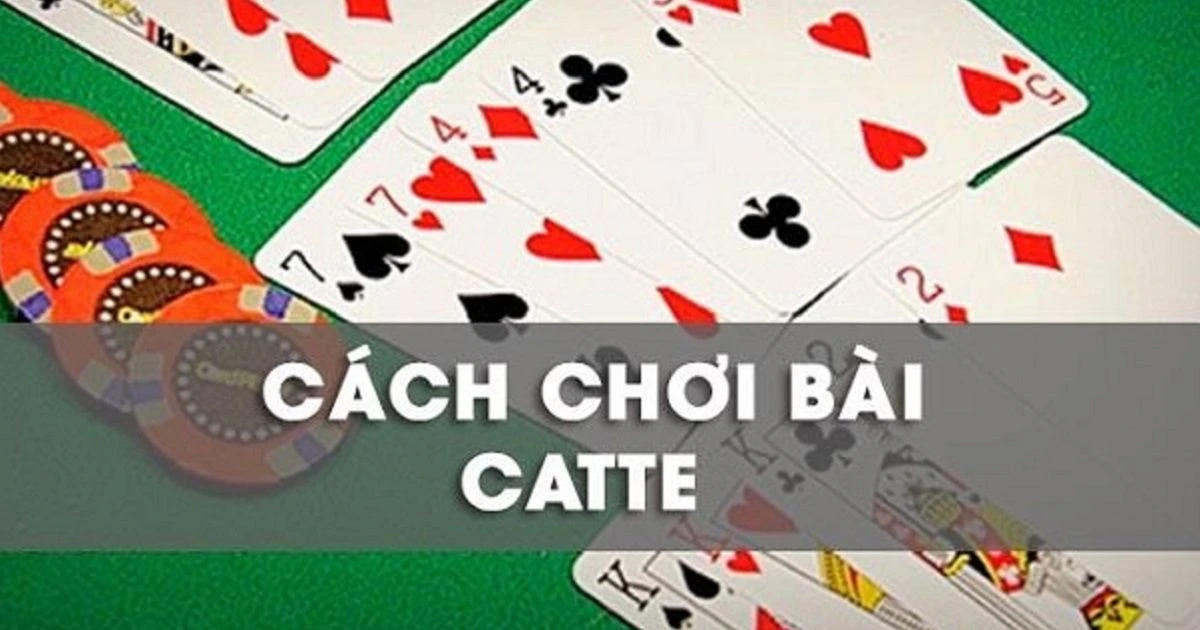 Giới thiệu game Catte và luật chơi cơ bản